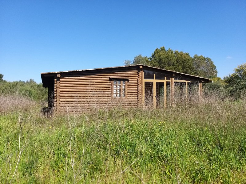 Finca de madera en Manacor Felanitx en venta
