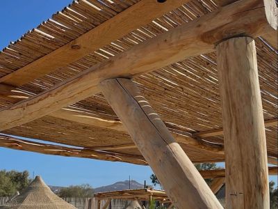 Wooden porches and pergolas