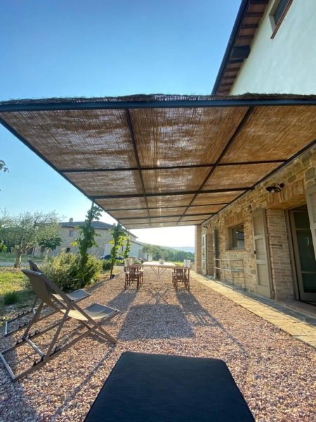 Wooden porches and pergolas