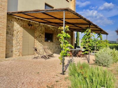 Wooden porches and pergolas