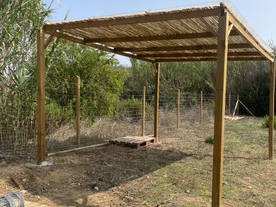 Wooden porches and pergolas