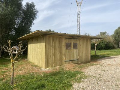 Wooden houses and garden sheds