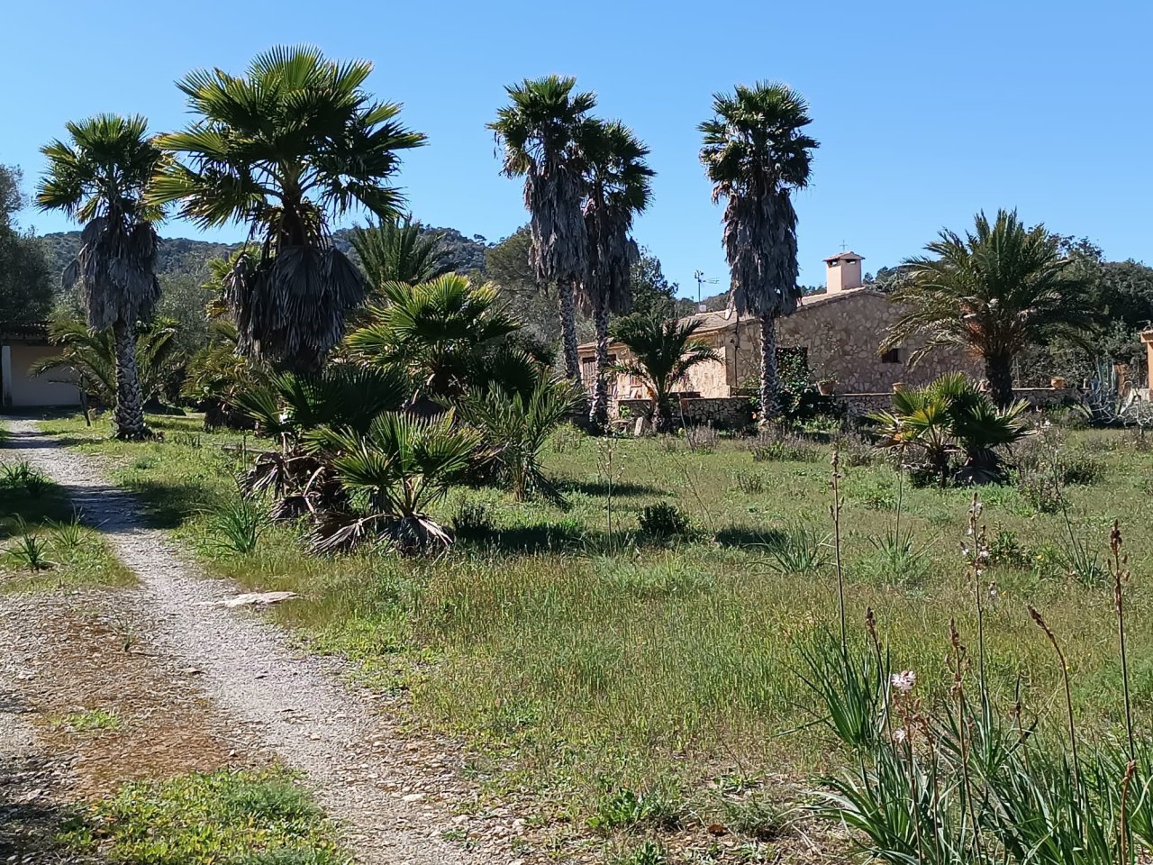 Huertos Urbanos