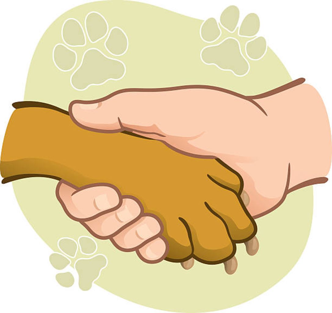 Cuidado de perros durante las fiestas