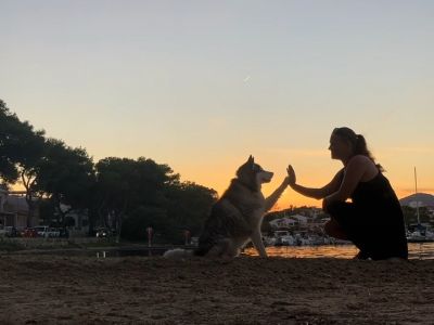 Dog Training Focusing on Team Building & Communication