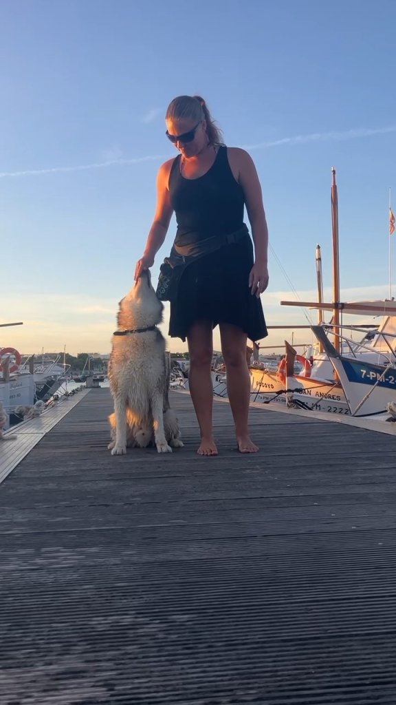 Dog Training Focusing on Team Building & Communication