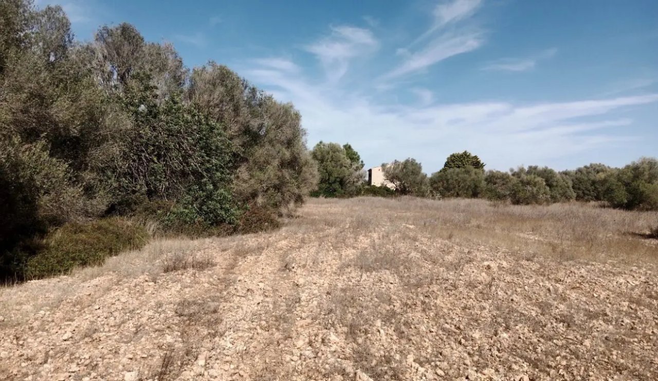 Parcela idílica con proyecto de construcción aprobado en Sa Vinyola - cerca de Sa Ràpita
