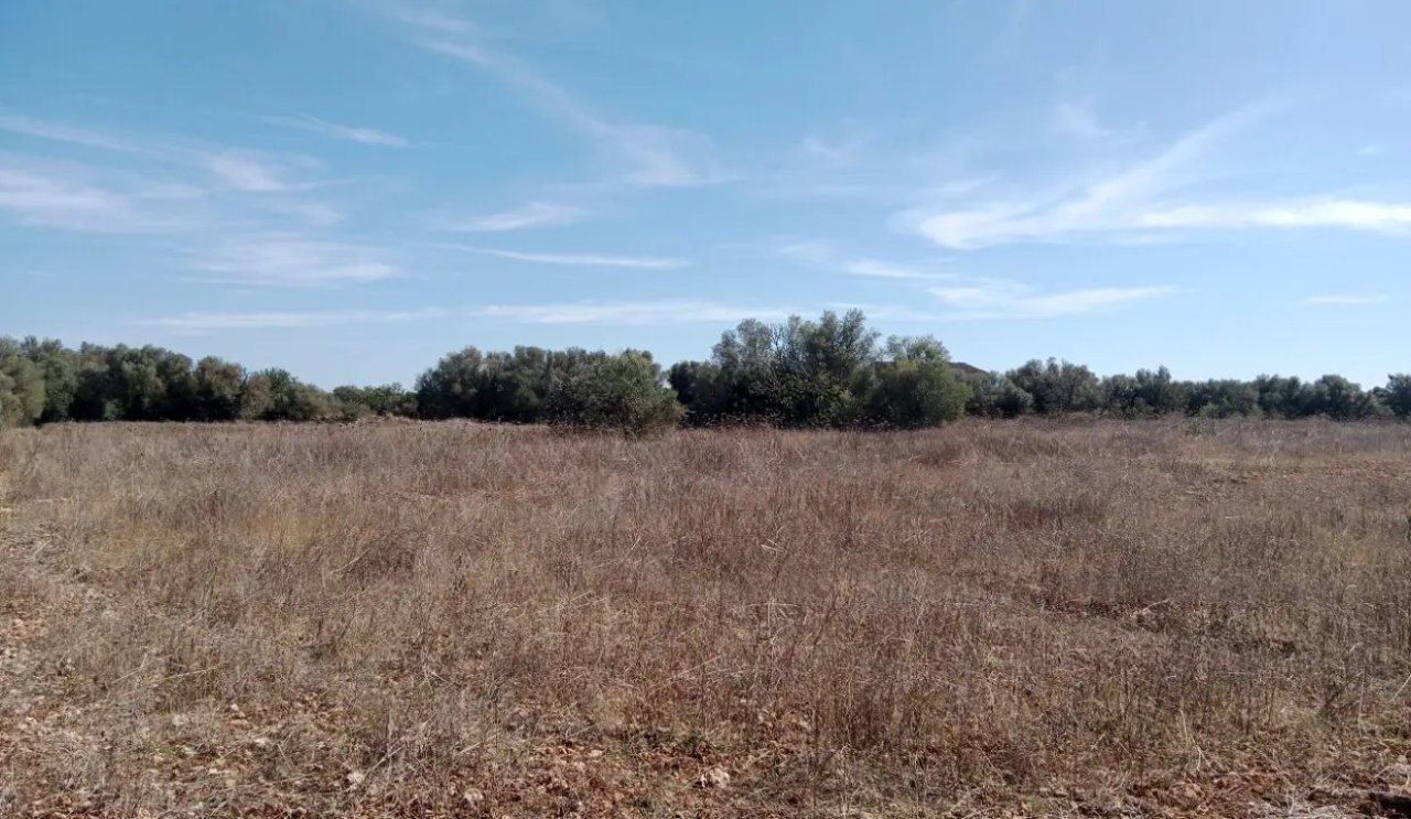 Parcela idílica con proyecto de construcción aprobado en Sa Vinyola - cerca de Sa Ràpita