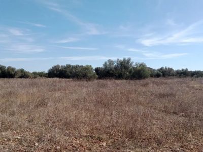 Parcela idílica con proyecto de construcción aprobado en Sa Vinyola - cerca de Sa Ràpita