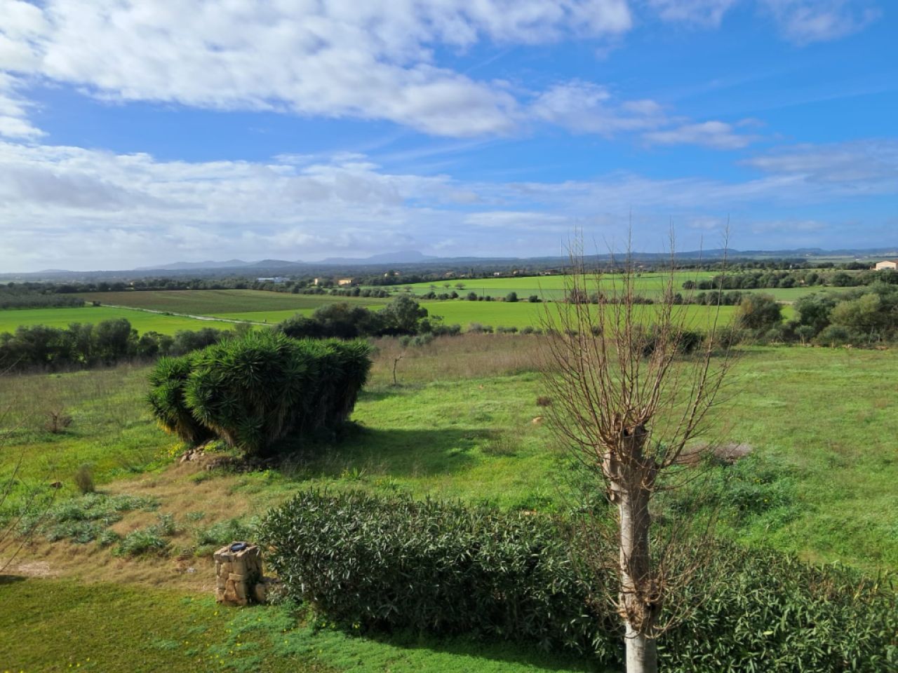 Impressive finca with guest wing, heating, pool near Felanitx - Petra -- F 64