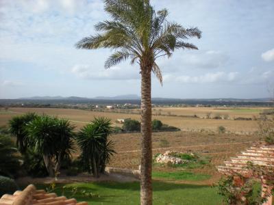 Imposing finca with sep. guest house and all extras near Petra - Manacor -- F 64 VK