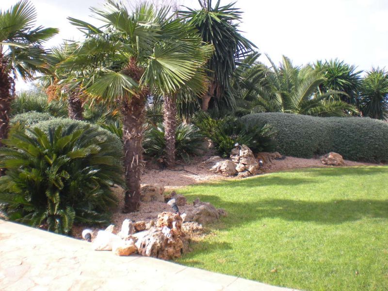 Imposing finca with sep. guest house and all extras near Petra - Manacor -- F 64 VK