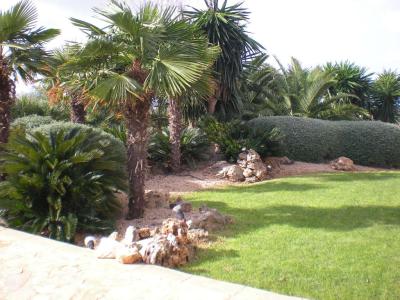 Imposing finca with sep. guest house and all extras near Petra - Manacor -- F 64 VK