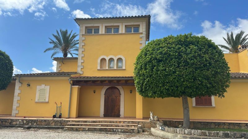 Imposing finca with sep. guest house and all extras near Petra - Manacor -- F 64 VK