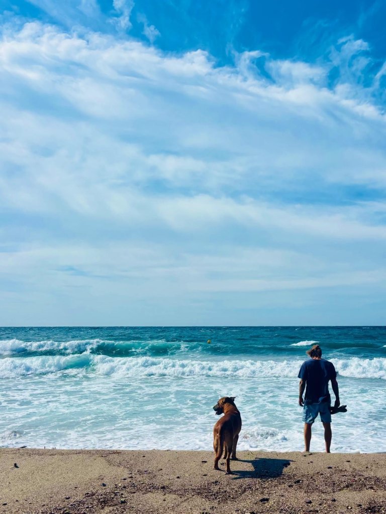 Individuelles Hundetraining & Sozialisierung auf Mallorca | 1:1-Betreuung
