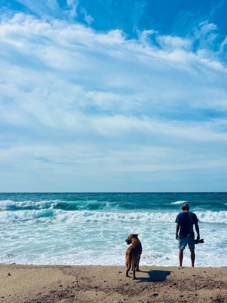 Individuelles Hundetraining & Sozialisierung auf Mallorca | 1:1-Betreuung