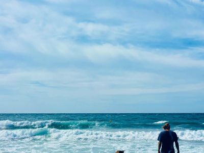 Individuelles Hundetraining & Sozialisierung auf Mallorca | 1:1-Betreuung