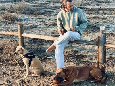 Individuelles Hundetraining & Sozialisierung auf Mallorca | 1:1-Betreuung