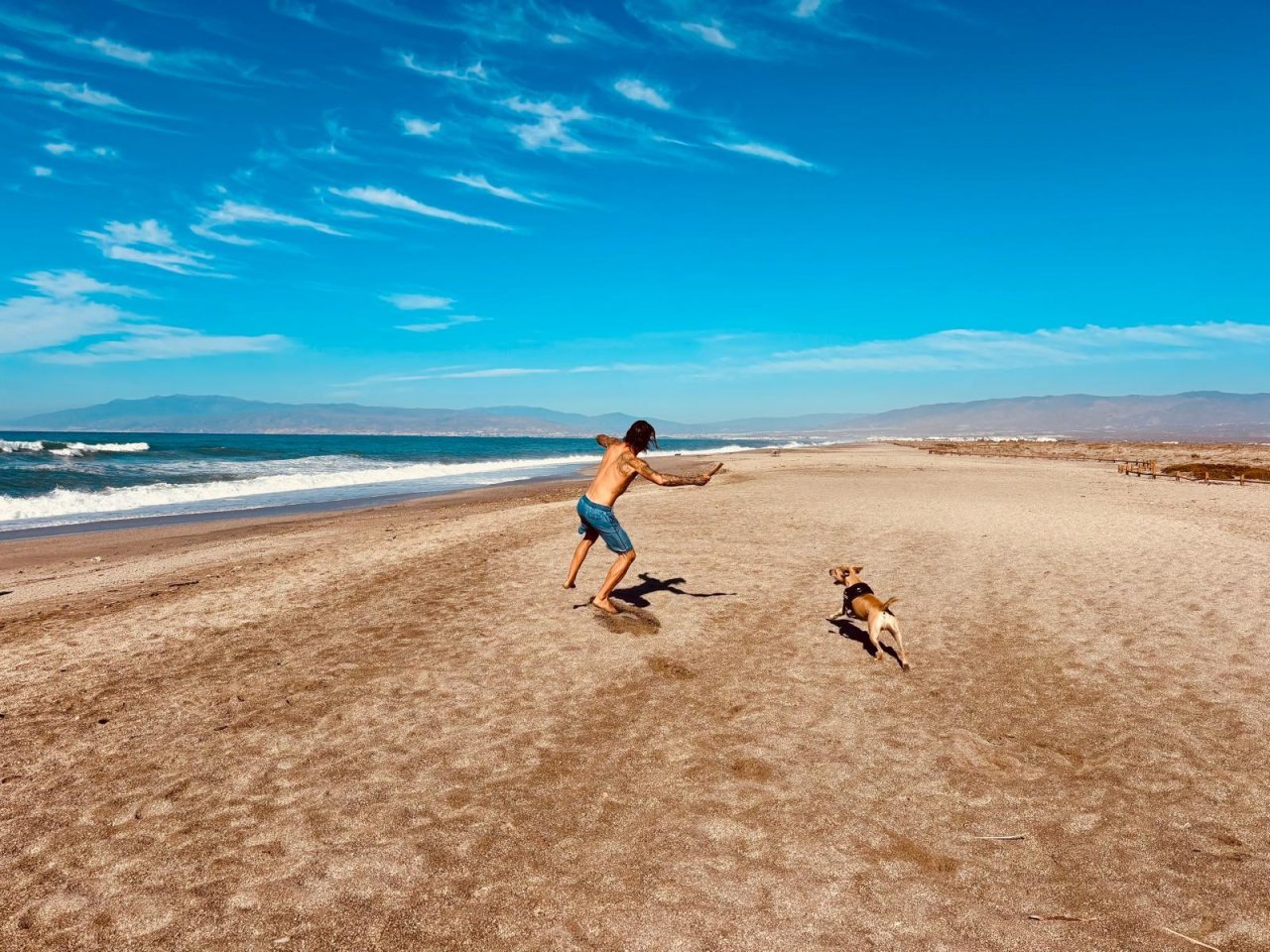 Individuelles Hundetraining & Sozialisierung auf Mallorca | 1:1-Betreuung