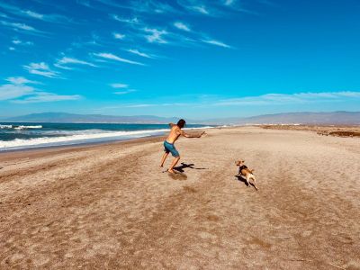 Individuelles Hundetraining & Sozialisierung auf Mallorca | 1:1-Betreuung
