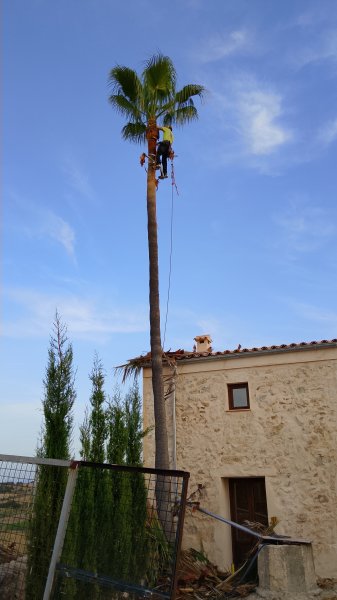 Installation und Pflege von Gärten