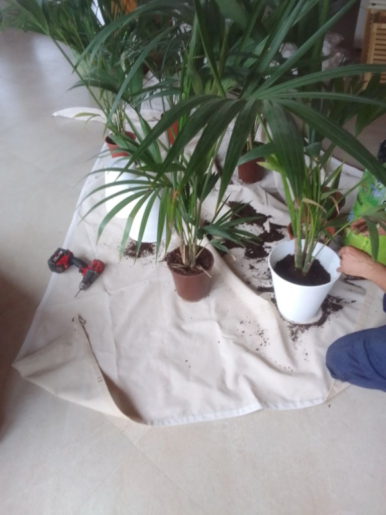 Property Maintenance Mallorca