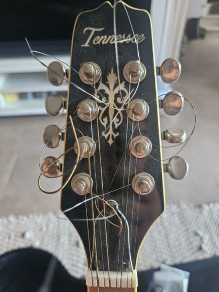 Bouzouki irlandés – Tennessee – con Hardcase