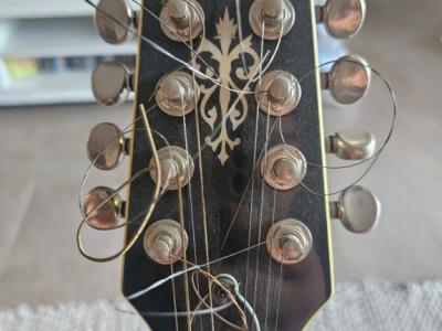 Bouzouki irlandés – Tennessee – con Hardcase