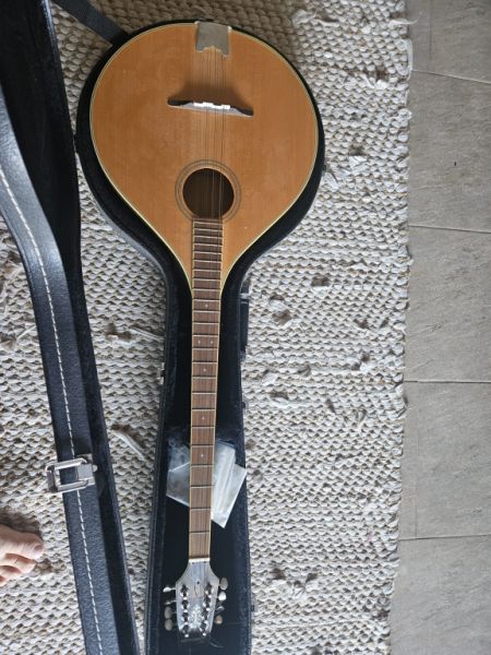 Bouzouki irlandés – Tennessee – con Hardcase