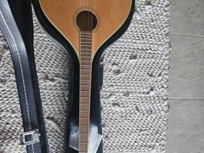 Bouzouki irlandés – Tennessee – con Hardcase
