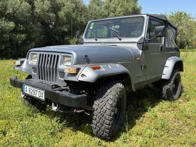 Jeep Wrangler, das perfekte Insel-Fahrzeug