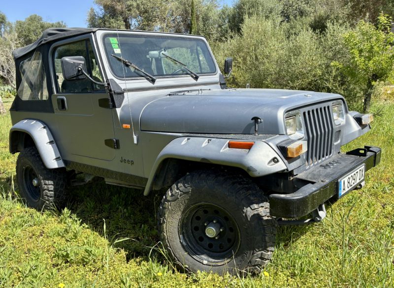 Jeep Wrangler, das perfekte Insel-Fahrzeug