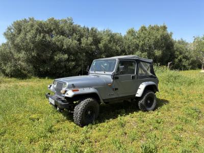 Jeep Wrangler, das perfekte Insel-Fahrzeug