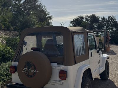 Jeep Wrangler Sahara 4.0 Automatik Sahara
