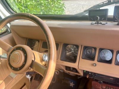 Jeep Wrangler YJ Laredo 4x4 Clásico - Techo Rígido - Muy Original