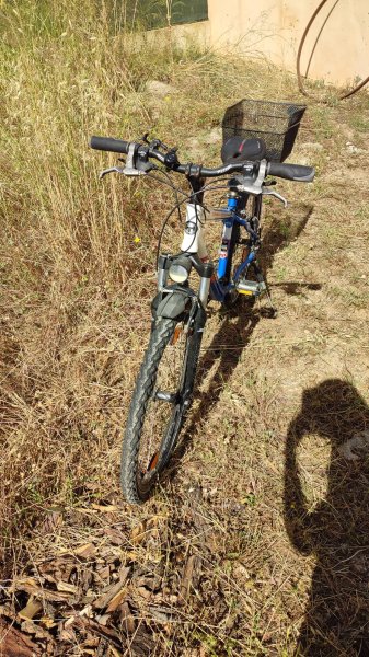 Youth bike 25-inch