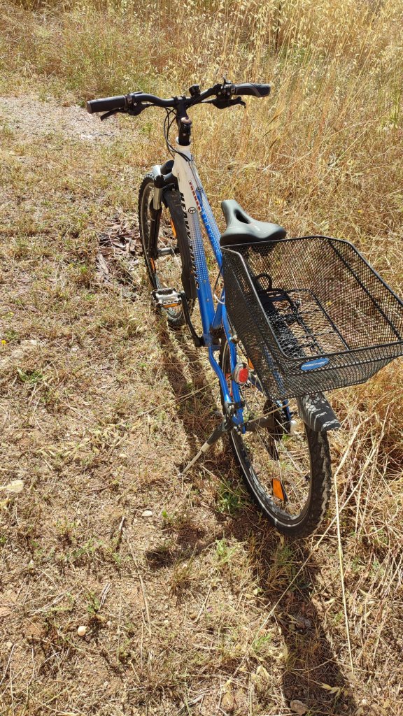 Youth bike 25-inch