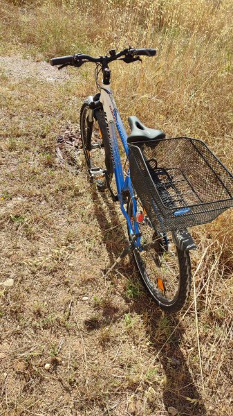 Youth bike 25-inch