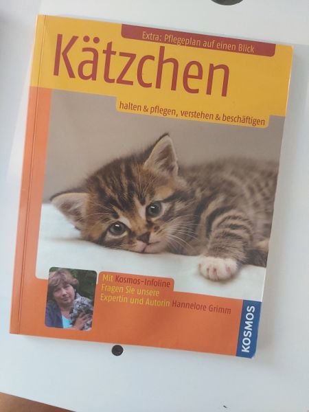 Kätzchen: Halten & Pflegen, Verstehen & Beschäftigen