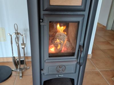 Wood-burning stove
