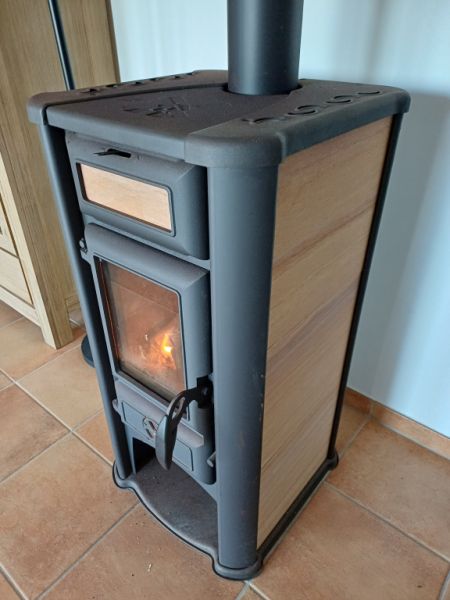 Wood-burning stove