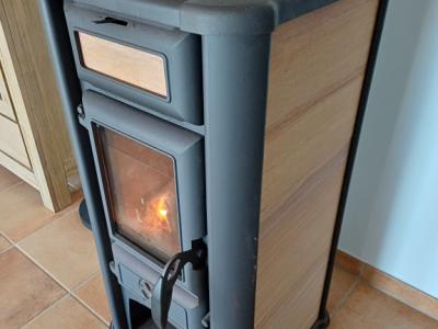 Wood-burning stove