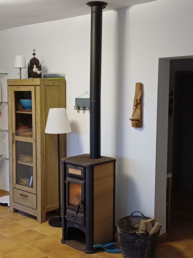 Wood-burning stove