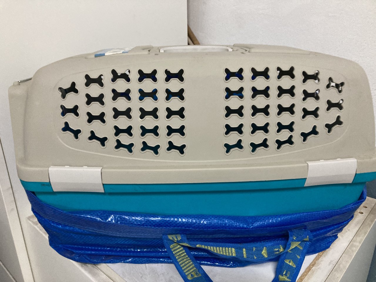 Katzen oder Hunde - Transportbox