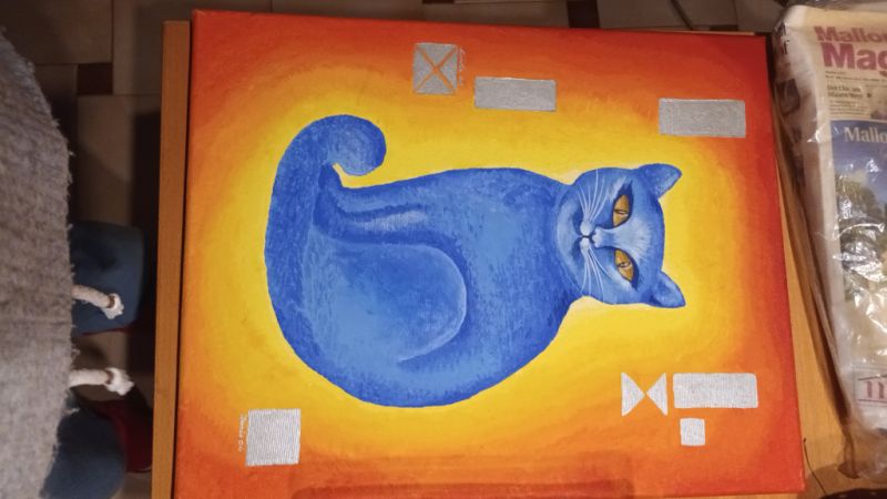 Cat picture in orange