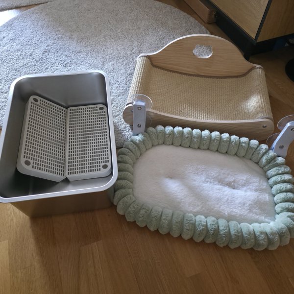 Accesorios para gatos