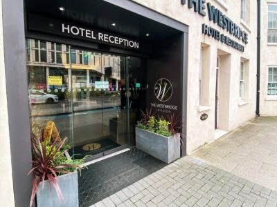 Se busca camarero/camarera