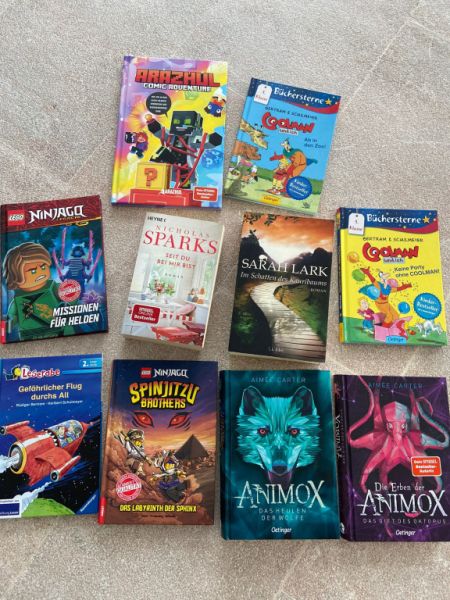 Children's books ninjago or animox