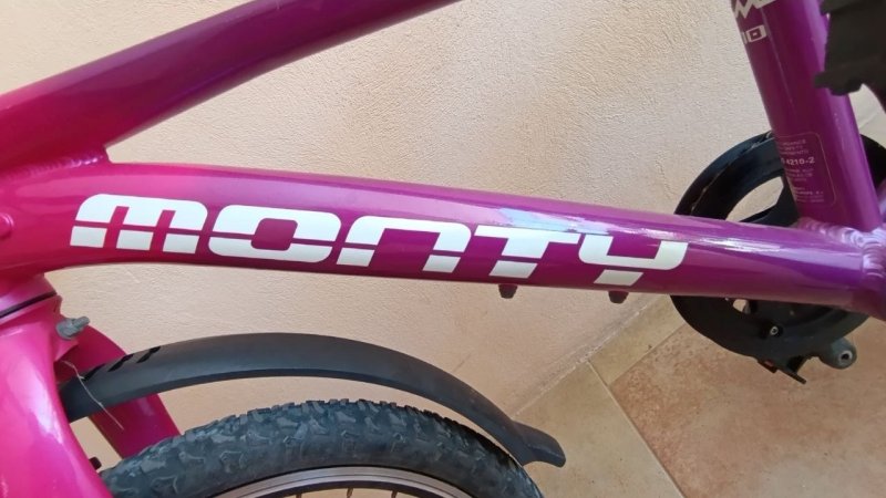 Kinderfahrrad 20" Zoll MONTHY Mountainbike + Rechnung von Spezialized TOPZUSTAND