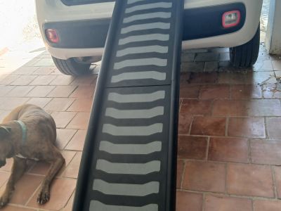 Klappbare Einsteighilfe für Hunde bis 45 Kilo